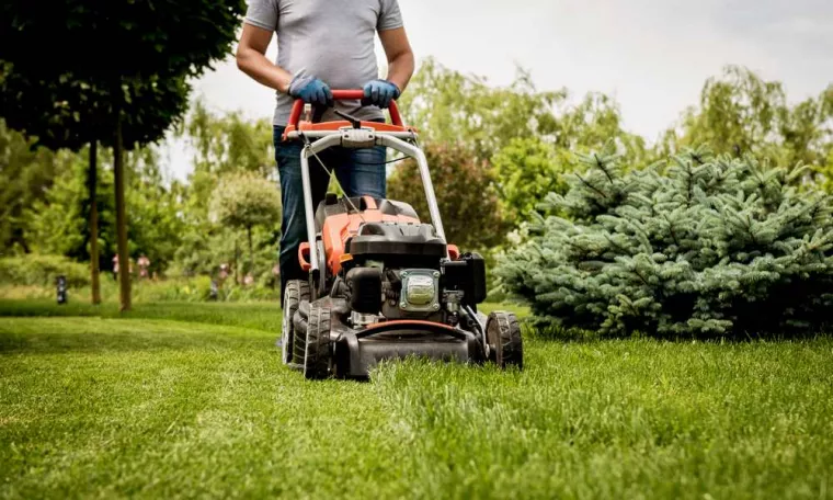 Avec quel appareil faire une scarification de gazon ?, Bort-les-Orgues, Saussat Paysage